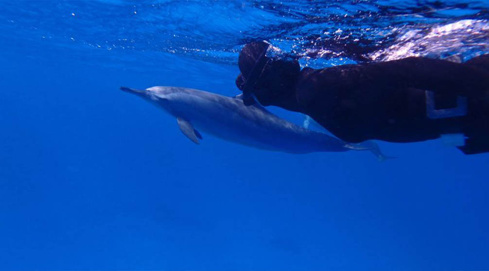 اجمل رحلات وانشطه فى مرسى علم