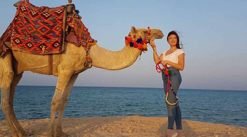 الإنتقالات من مطار الغردقة