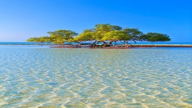 رحلة اسنوركلنج إلى شرم اللولي ووادي القلعان