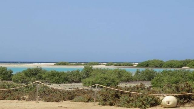 رحلة اسنوركلنج إلى شرم اللولي ووادي القلعان