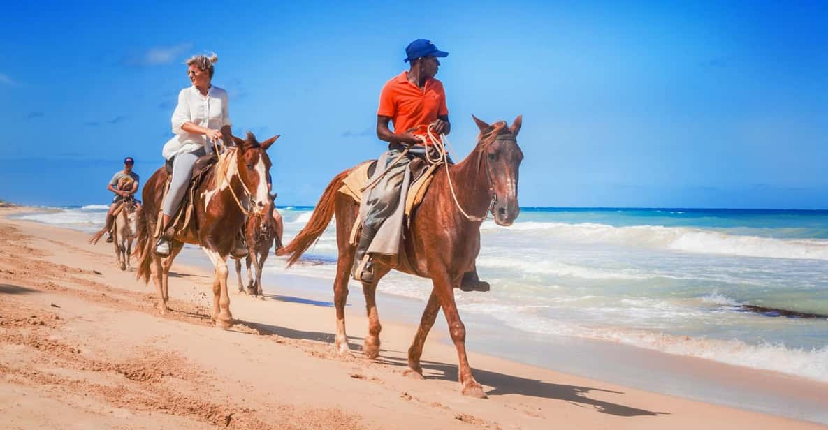 1 Hour desert Sunrise horse riding from Hurghada 1 Hour desert Sunrise horse riding from Hurghada
