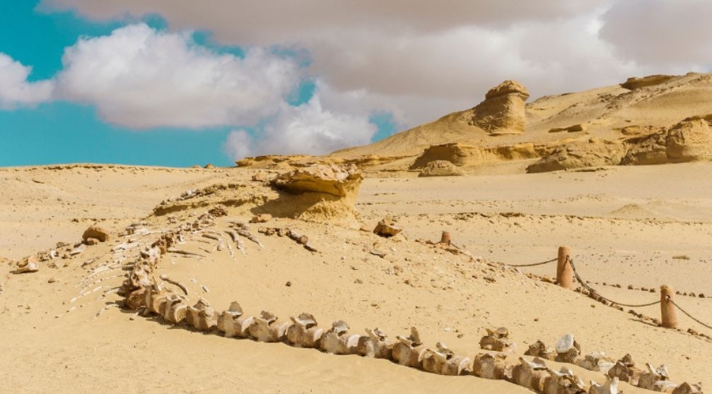 15 Days Egypt itinerary with Red Sea