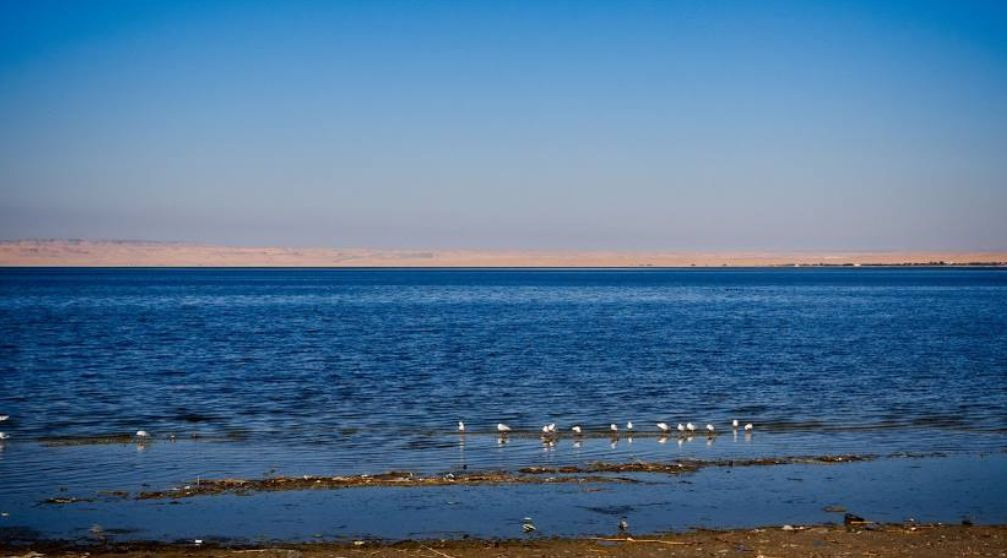 4 Days Trip to wadi el Hitan and El Minya with Drop off in Luxor