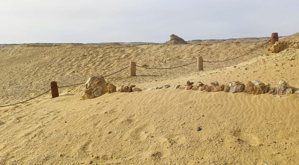 7 Days Tour package Cairo and Fayoum