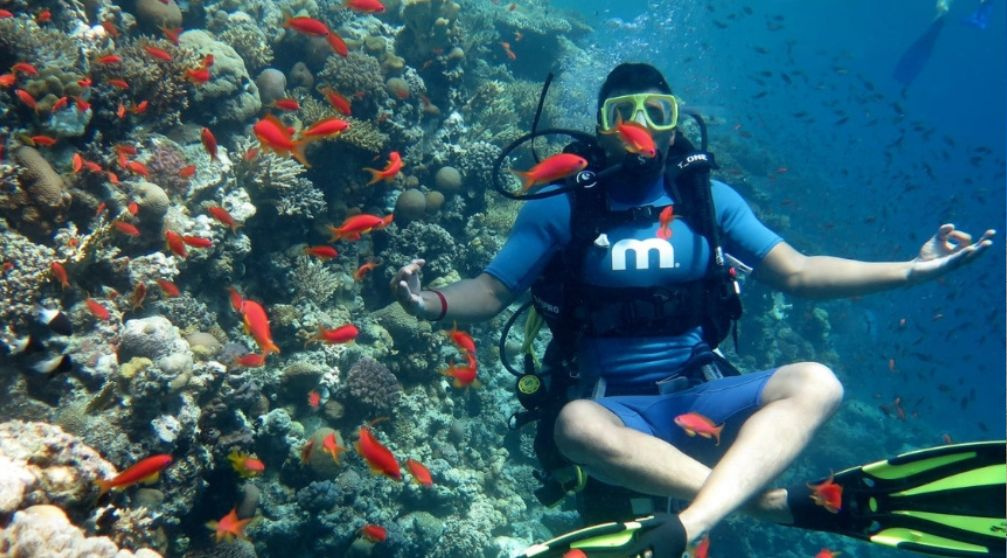 8 Days itinerary Nile cruise and Red Sea From Cairo 8 Days itinerary Nile cruise and Red Sea From Cairo