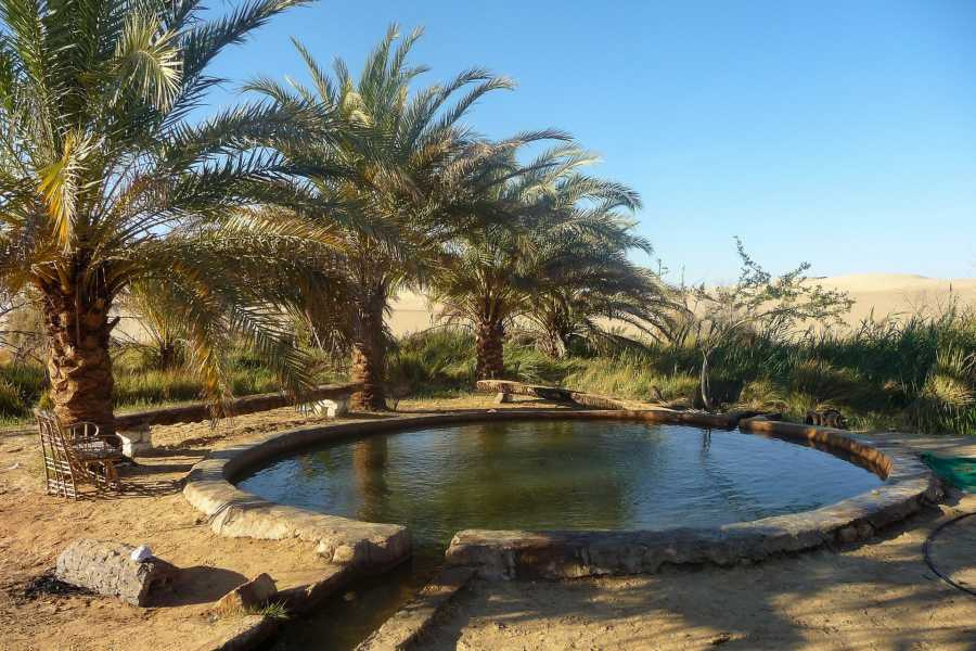 9 Day tour package Cairo Alexandria and Siwa
