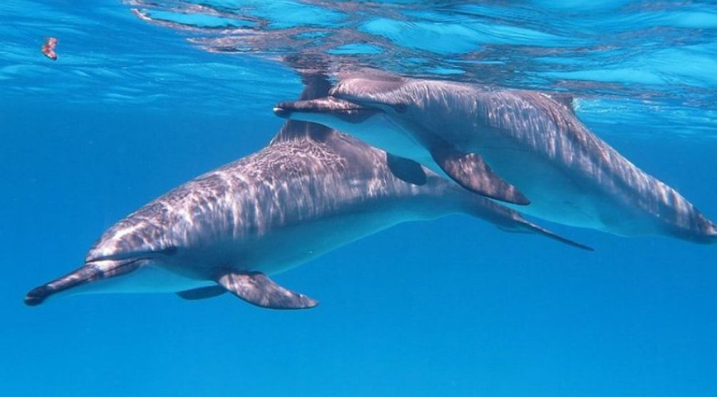 Best Egypt Itinerary 11 Days