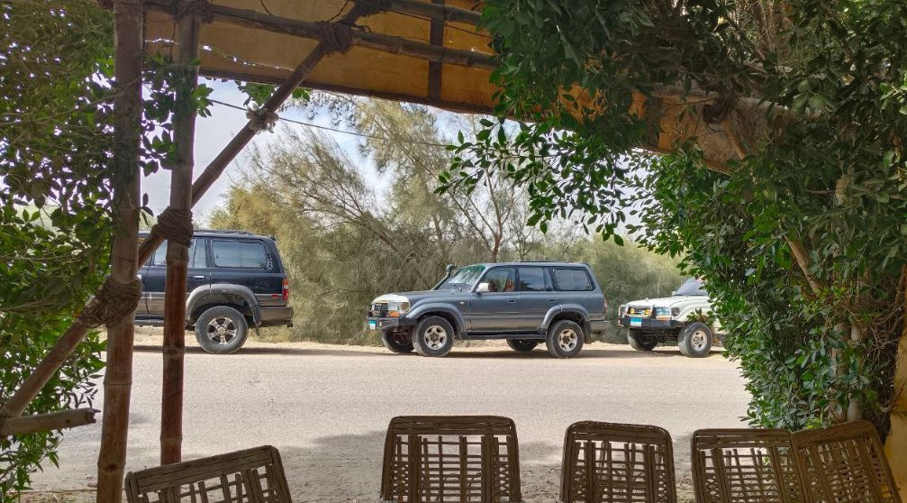 Fayoum trips from Cairo