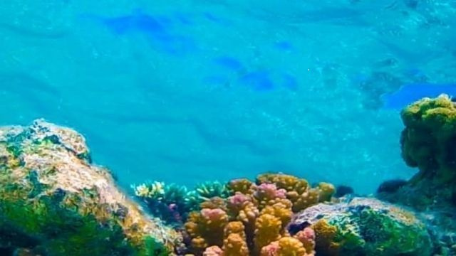 Hamata island Private boat Tour from El Quseir