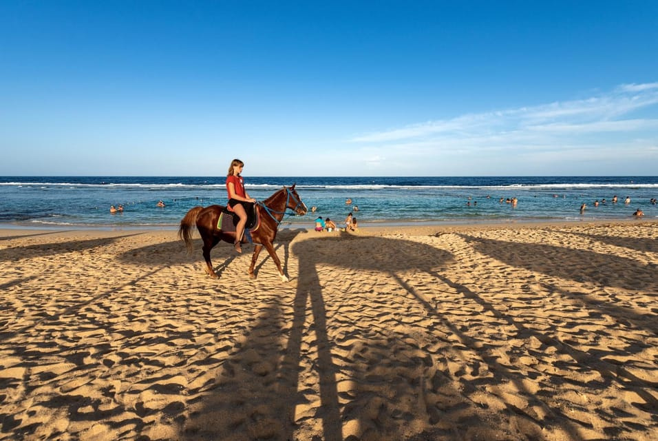 Horse riding trips from Hurghada