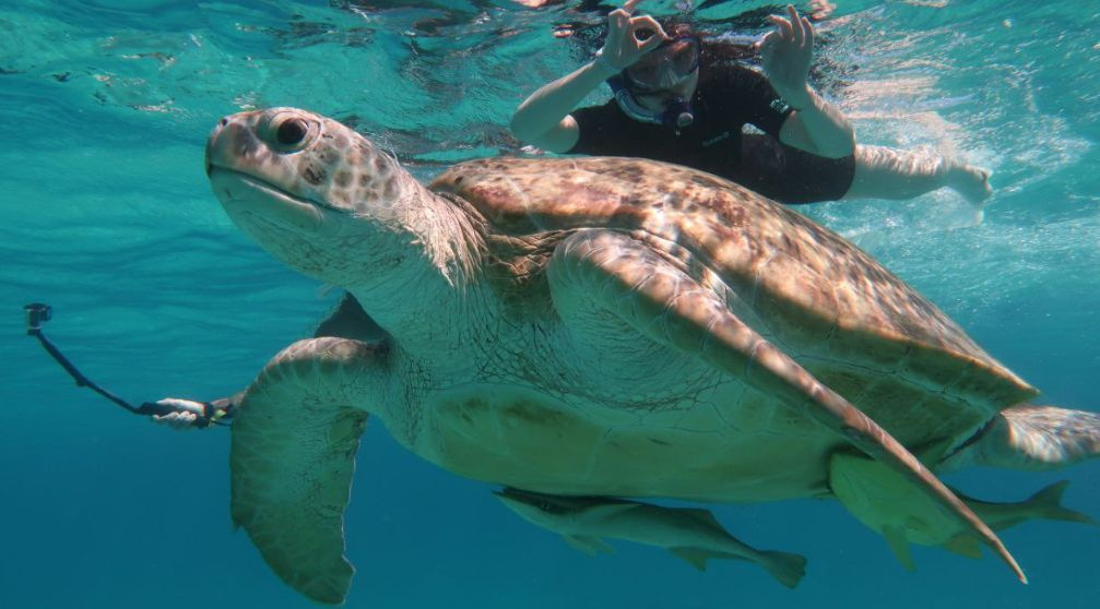 Marsa Alam tours Packages