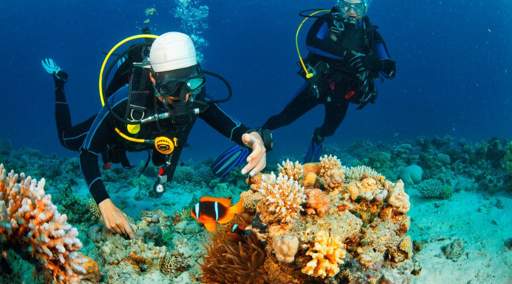 Marsa Mubarak Diving tour from Port Ghalib
