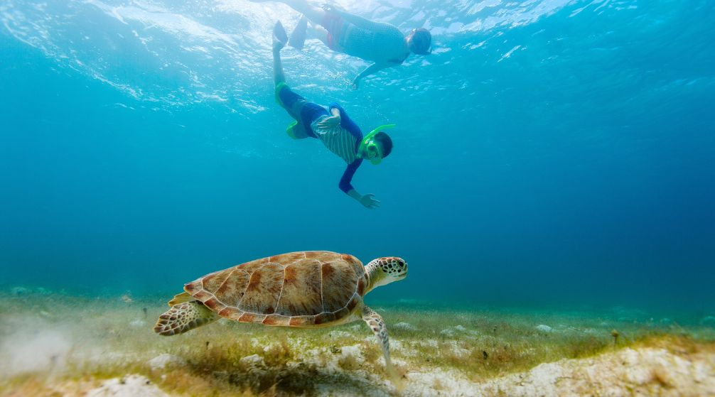 Private boat trip to Hamata island from Marsa Alam