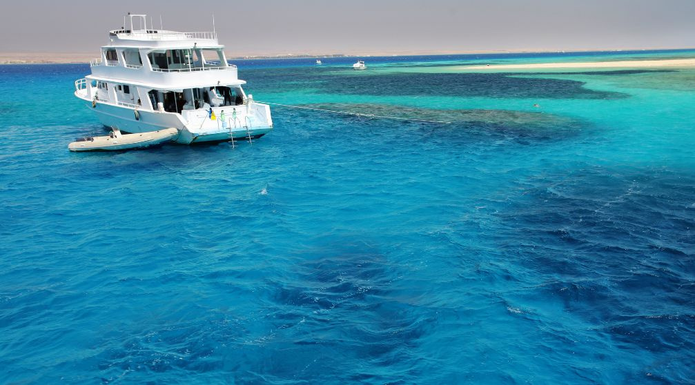 Red sea Liveaboards Egypt Packages