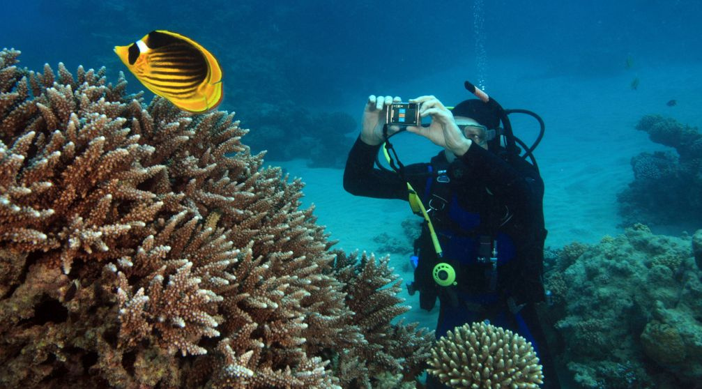 Safaga Shore Excursions