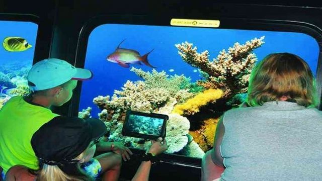 Semi Submarine Tour from Makadi