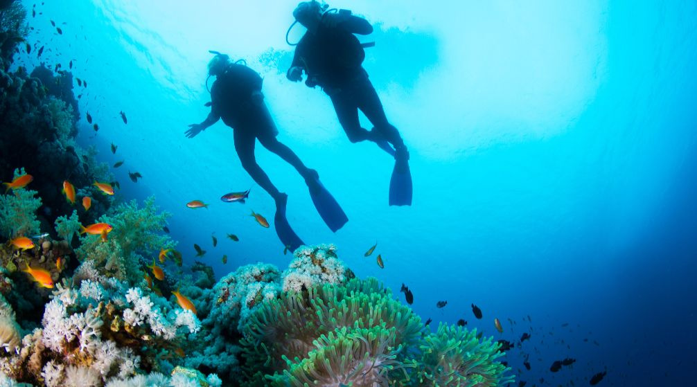 Snorkeling Excursion to Hamata Islands From El Quseir