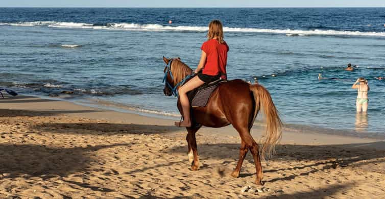 Sunrise Horse riding in Hurghada 2 hours by the desert and the Sea