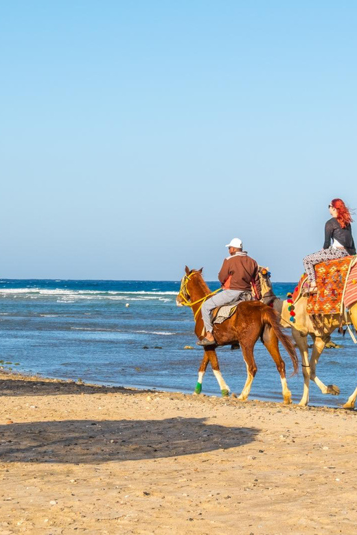 Sunrise Horse riding in Hurghada 2 hours by the desert and the Sea