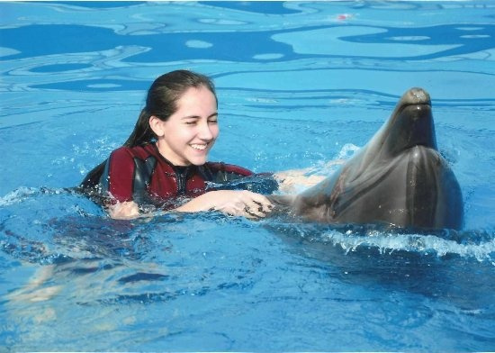Swim with Dolphins El Gouna