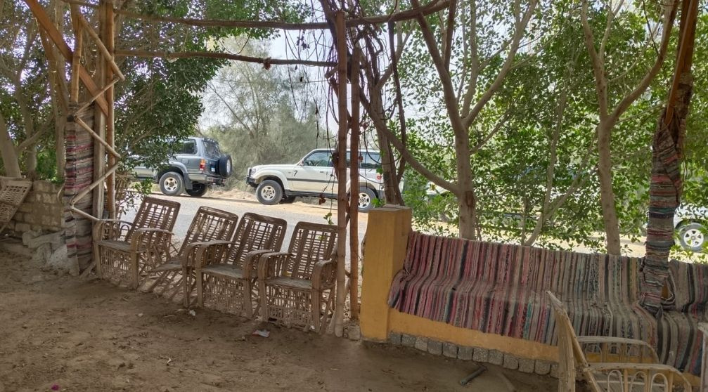 Trip to Wadi Al Hitan and Fayoum Oasis from Cairo