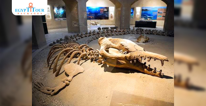 2-tägiger Ausflug von Kairo nach Wadi El Hitan und zu den Fayoum-Pyramiden 2 tägiger Ausflug von Kairo nach Wadi El Hitan und zu den Fayoum Pyramiden