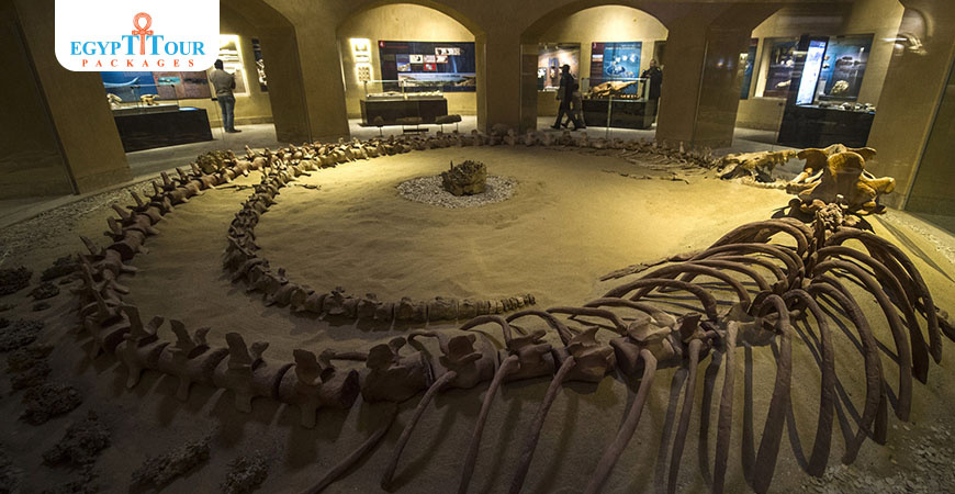 2-tägiger Ausflug von Kairo nach Wadi El Hitan und zu den Fayoum-Pyramiden 2 tägiger Ausflug von Kairo nach Wadi El Hitan und zu den Fayoum Pyramiden