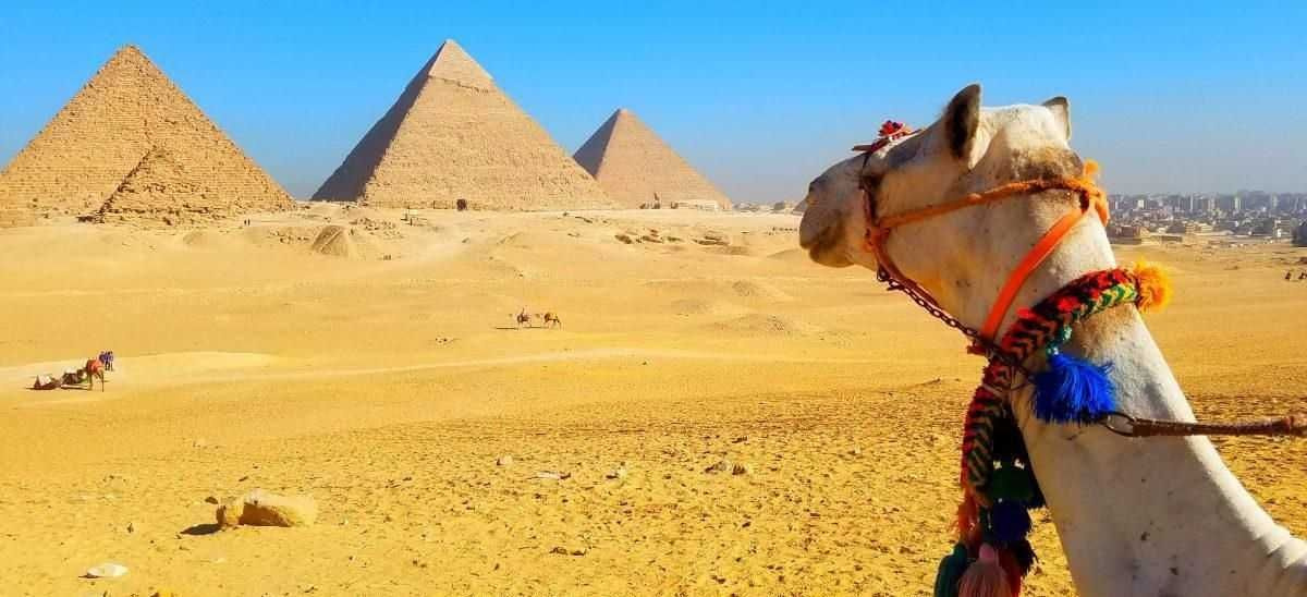 5 Tage Reise Kairo und die weiße Wüste