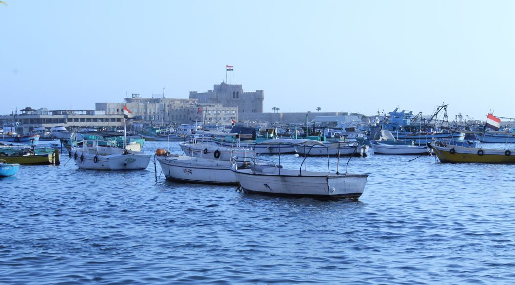 8 tägige Reise nach Kairo und ins Tal der Wale