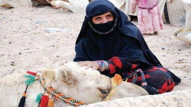 Makadi Morgen Auto Buggy Touren