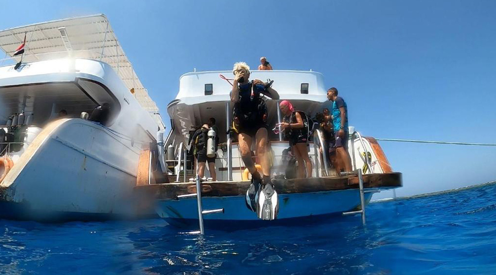 Private Bootsfahrt nach Shaab Samadai von Marsa Alam Private Bootsfahrt nach Shaab Samadai von Marsa Alam