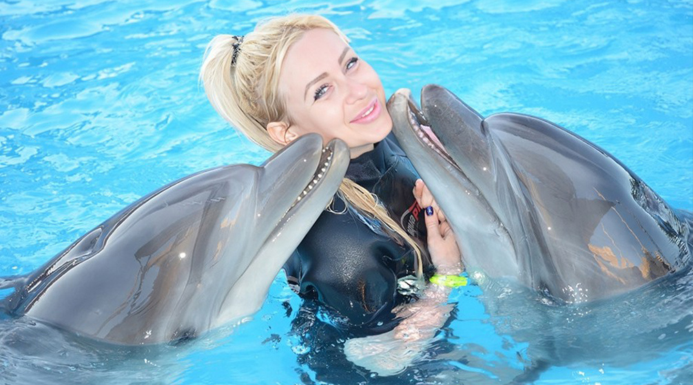 Schnorchelausflug zum Delfinhaus von Sahl Hasheesh