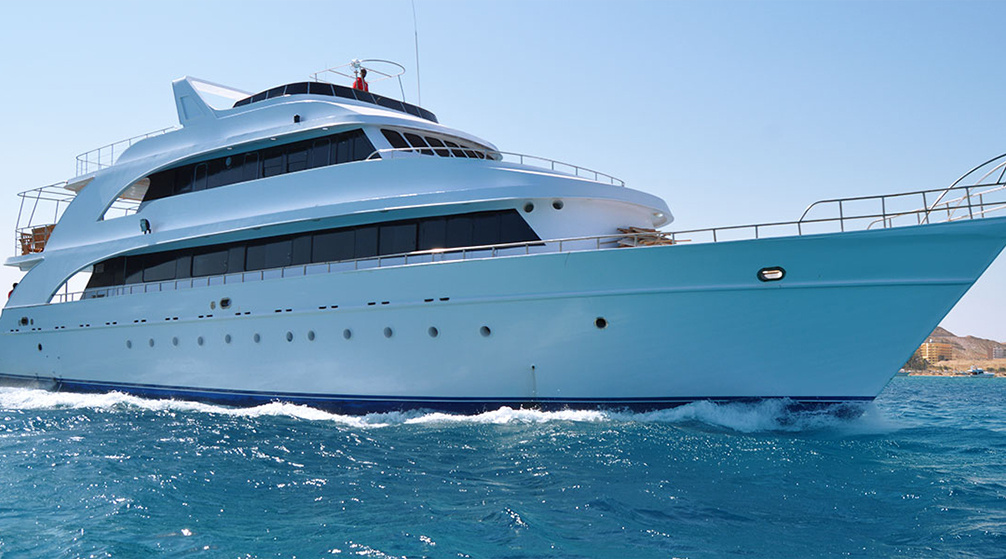 Schnorchelausflug zum Sataya Dolphin Reef ab Marsa Alam