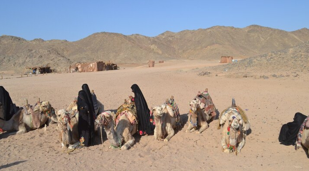 Super Wüstensafari Ausflug mit Jeep von Port Ghalib