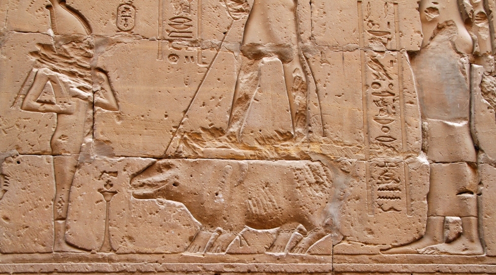 Tagestour zum Edfu Tempel und zum Kom Ombo Tempel ab Luxor