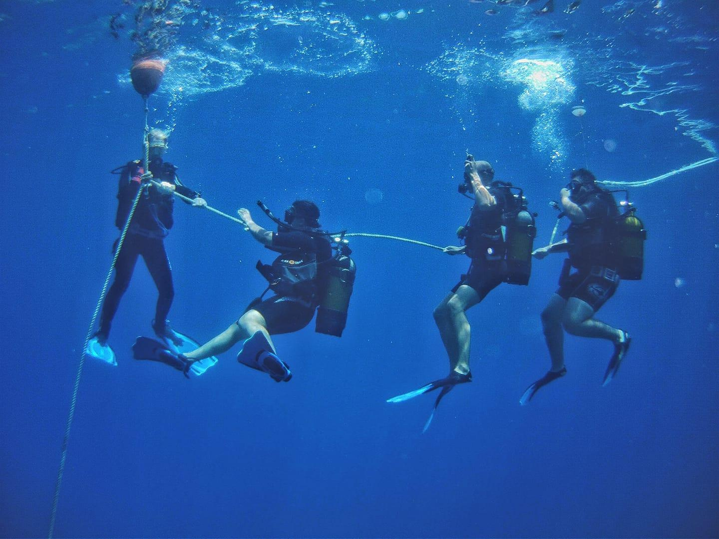 Curso de buceo PADI desde Marsa Alam