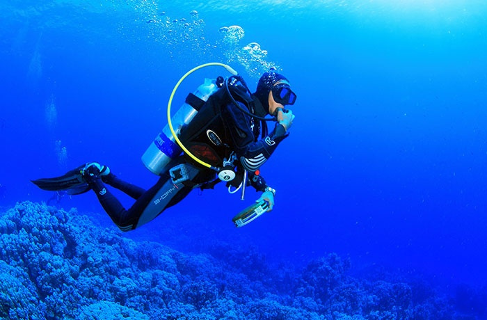 Excursiones de buceo desde el Quseir