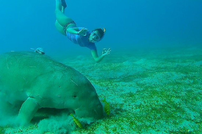 Excursiones en barco privado desde Marsa Alam