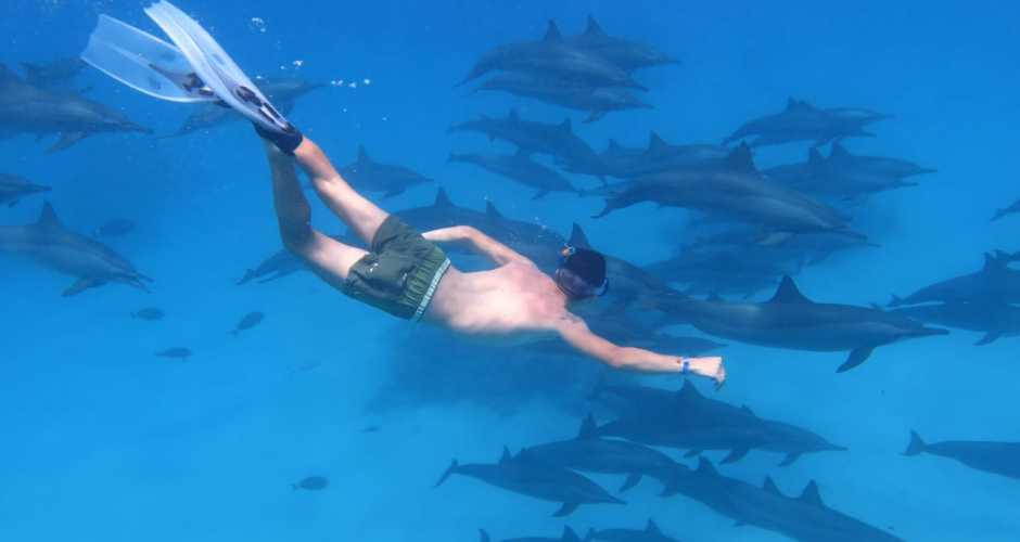 Excursión de buceo en Shaab Samadai desde Marsa Alam