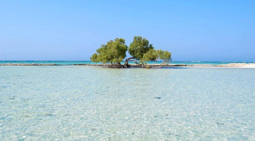 Excursión de snorkel a Sharm el Lulli y wadi El Qulaan de un día Excursión de snorkel a Sharm el Lulli y wadi El Qulaan de un día