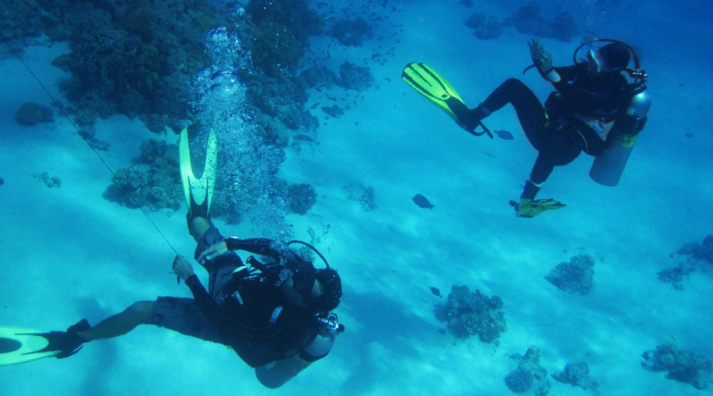 Excursión de snorkel en Marsa Mubarak desde Marsa Alam