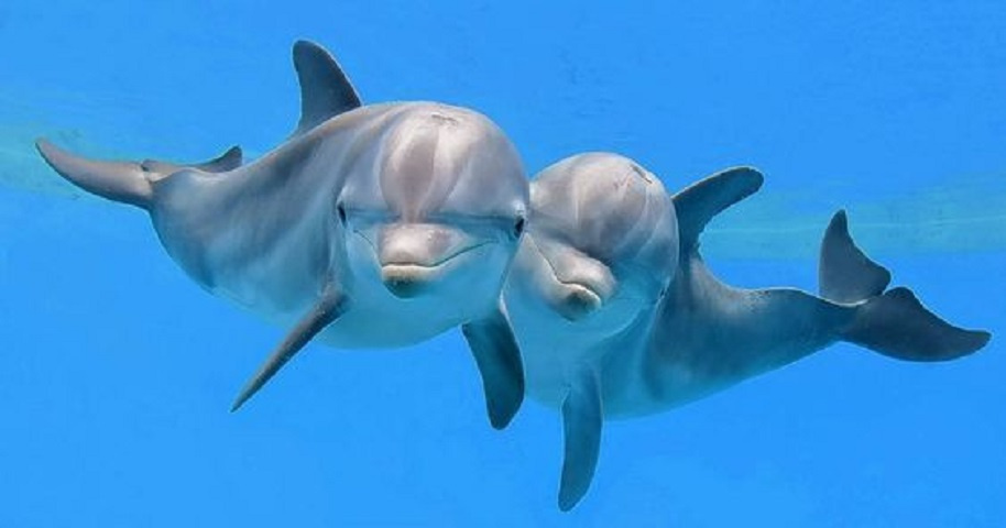 Itinerario de 10 dias en Egipto Cairo, Crucero por el Nilo y Hurghada