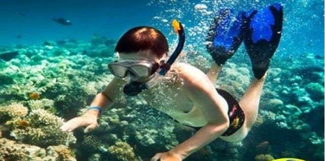 Marsa Mubarak Excursión de buceo desde Marsa Alam