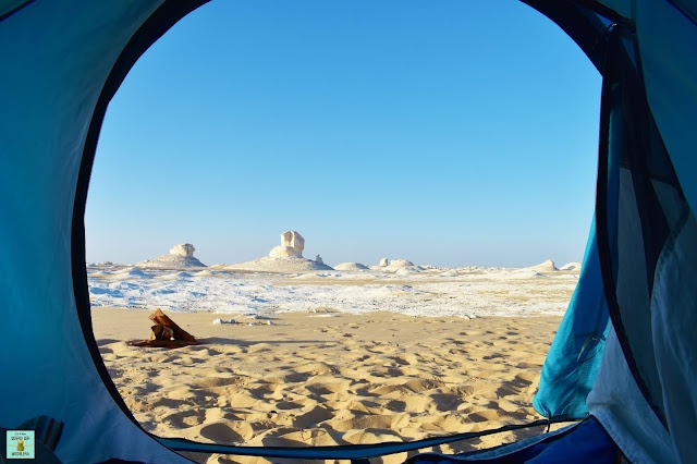 Safari por el desierto desde El Gouna