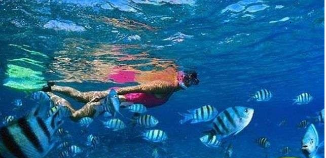 Tour de snorkel en Shaab Samadai desde Marsa Alam
