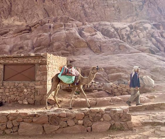 Tours al Monte Sinaí desde El Cairo