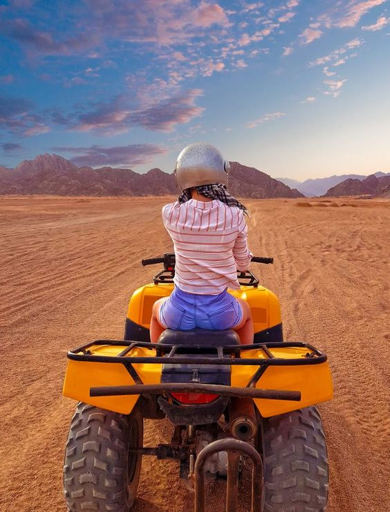 Tours de safari desde Portghalib