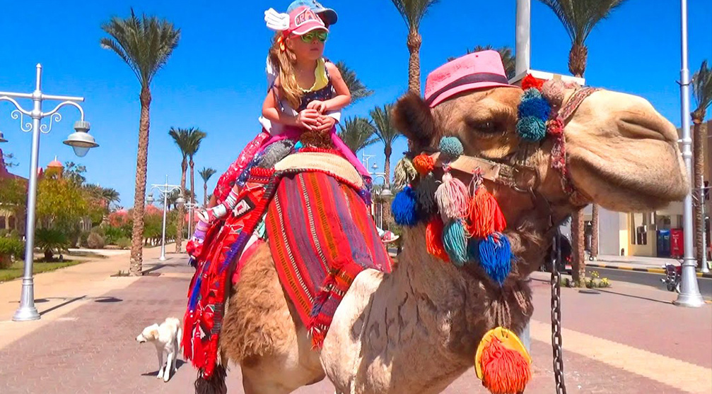 Traslado desde el aeropuerto de Hurghada al hotel en Makadi.