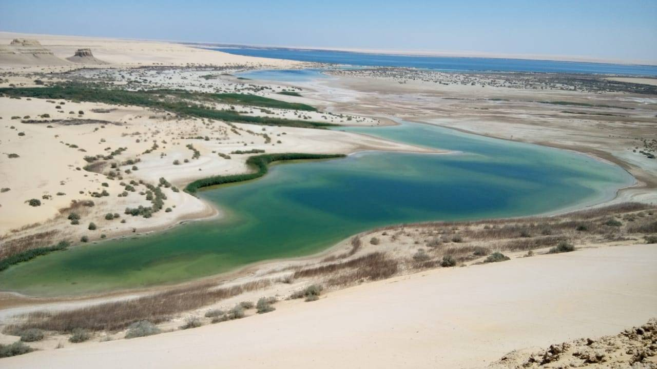 Excursión a Wadi Al Hitan y el oasis de Fayum desde El Cairo