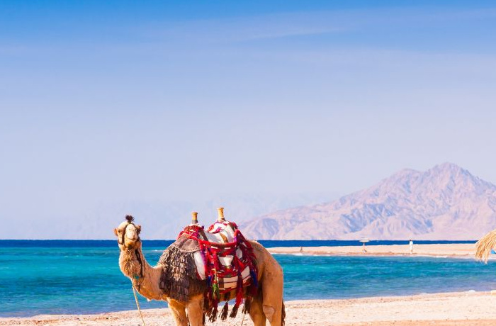 Destinations touristique